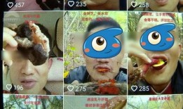 野生菌爆料视频大全集播放