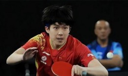 国乒真情侣爆料视频播放,视频播放背后的甜蜜瞬间